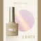 ARTiS di Voce 貓眼甲油膠8g CE073