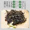 圓農穠纖體態茉莉香片綠茶包