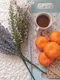 Ethiopia Yirgacheffe Washed Dhilgee