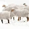 羊毛四季被｜100% 紐西蘭進口羊毛
