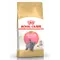 【喵村食堂😊】RoyalCanin皇家貓飼料★貓乾糧 飼料 貓糧★