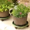 Planter Stand with Casters Round