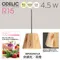 〖鹿屋燈飾 台中指定代理〗ODELIC WP252941 4.5W 吊燈｜日亞LED｜一年保固｜歐德立克