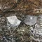 水泥灰 [ KZM ] 舖棉休閒折疊椅｜K23T1C11 鋪棉休閒摺疊椅 露營椅 月亮椅