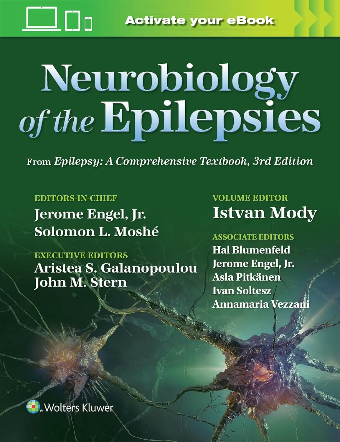 語学・辞書・学習参考書 THE EPILEPSIES THE EPILEPSIES 語学・辞書・学習参考書