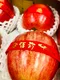 PR3856 農曆新年燙金緞帶 ｜ 新年緞帶 ｜ 燙金紅底絨布緞帶 15mm (PR3856 CHINESE NEW YEAR METALLIC VELVET RIBBON 15mm )