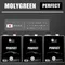 MOLYGREEN PERFECT PAO 0W20 5W30 10W60 合成酯類機油 4L