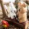 Dinotaeng -S'more Figure：Quokka & BOBO烤棉花糖公仔！