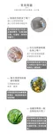 ［海洋部隊］沙發清潔噴霧 320g｜去汙 沙發清潔 清潔劑 清潔用品 環境友善 傢俱清潔