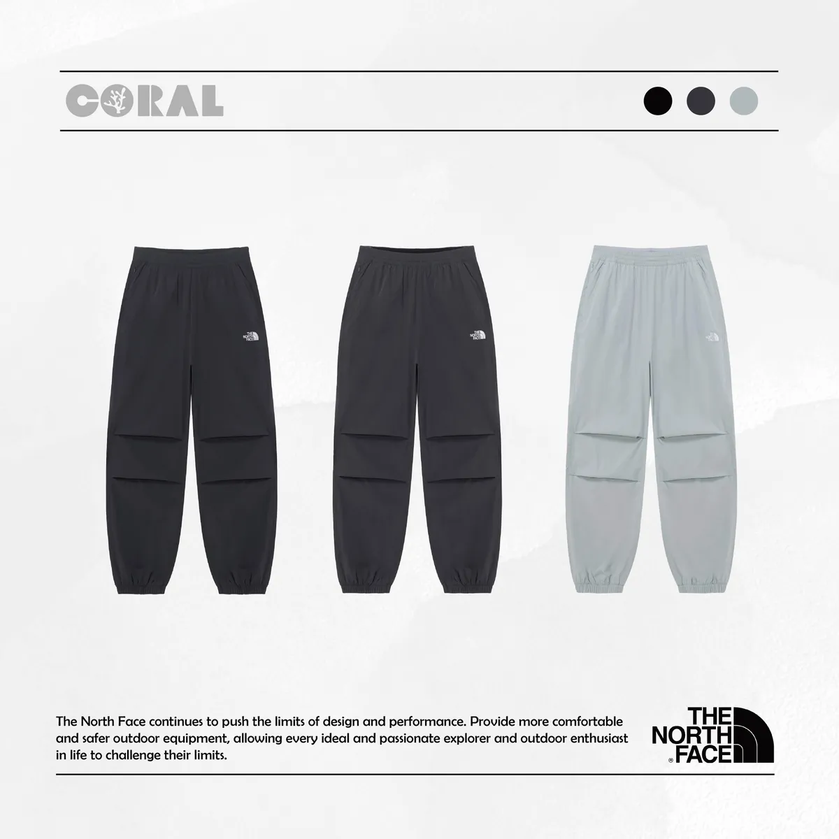 CORAL STORY - New Arrival 新品