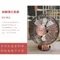 4吋USB古銅扇系列｜復古｜工業風｜雲紋劍獅｜大風量｜USB供電｜桌上型風扇｜柏森牌｜雙囍字｜府城窗花
