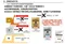 ENEOS X PRIME 0W16 0W20 5W30 5W40 頂級全合成機油 4L 日本製 最新GF6認證
