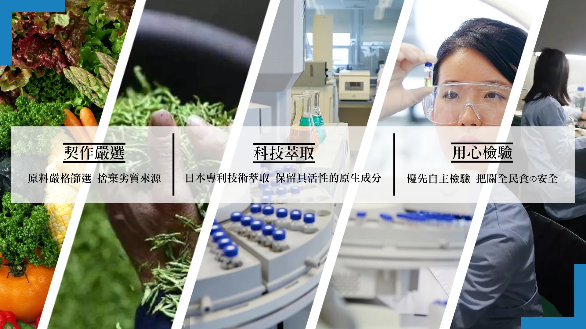 綠恩健字號兒茶素(綠茶萃取錠) 30錠