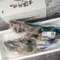 【中華民國全國漁會】玄海御饌-龍虎石斑禮盒(600克x2尾/盒)(含運)