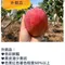 【枋寮青農】王鎮國-外銷頂級愛文芒果禮盒(小果/中果/大果/特大果)(5斤/盒)(含運)