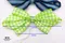 魔法調色盤蝴蝶結(Magic Palette Bow)｜格子｜綠色｜紅色｜裝飾｜緞帶用途｜髮飾｜婚禮｜深藍
