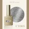 ARTiS di Voce 亮粉甲油膠8g CT005
