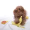 日本LOVE PETS｜香蕉剝皮造型