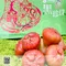 【佳冬鄉農會】*預購*透紅佳人黑珍珠蓮霧精品禮盒(2公斤/盒)(含運)