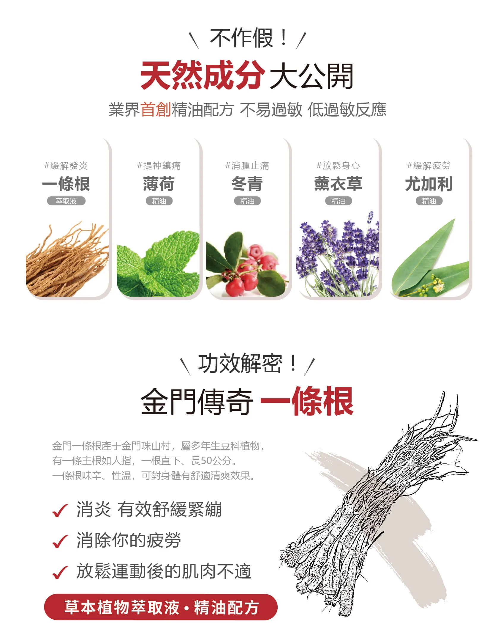 金門一條根滾珠凝露精油成分
