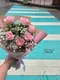 A1-135│情人節花束│新北市花店│蘆洲花店│花束│花店│訂花│送花