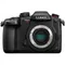 租賃銀行 Panasonic Lumix DC-GH5S單眼相機 (租賃) 3小時優惠價