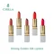 【CIRILLA】Fashionable Shining Golden Silk Lipstick
