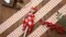 [DIY組合包]緞帶小丑鉛筆 (Ribbon Clown Pencil-DIY Pack)