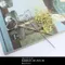 A1264 金屬MEMO名片夾DIY配件 2個  (A1264 Metal Memo Binder)
