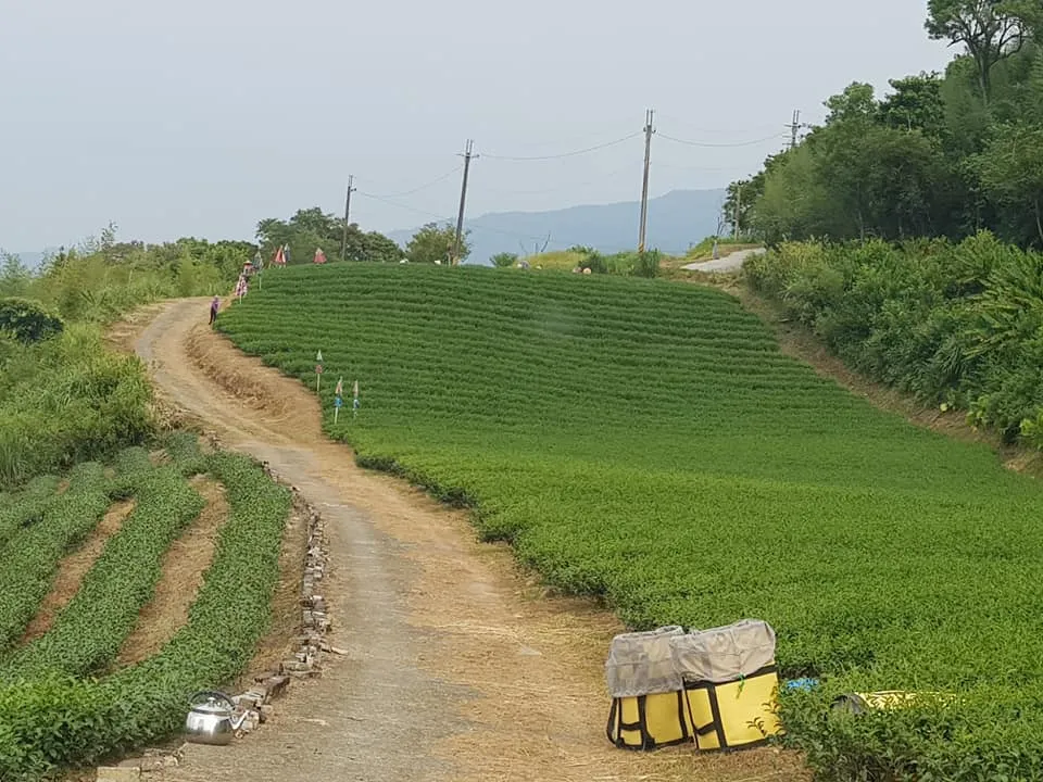 玉露茶園-有機烏龍茶(150g)