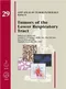 Tumors of the Lower Respiratory Tract 29 (AFIP Atlas of Tumor Pathology, Series 4)
