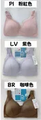 【預購】超熱銷!!! 日本製 涼感撫子內衣 (8色+5尺寸可選)