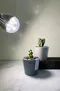 植物燈材｜自然光燈泡12w＋白色夾式燈座