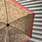 《 現貨 》COACH 情人節🍒櫻桃系列 晴雨傘