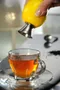 Gefu Lemon Juice 檸檬擠壓器 #12485