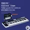 【SAMSON】電子琴 MIDI鍵盤 Graphite 49 iPAD 電鋼琴 USB (限宅配)
