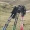 [ FIZAN ] 超輕三節式健行登山杖2入特惠組 (22色)｜登山杖　三節式　登山　健行　爬山