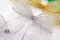 柔彩映象蝴蝶結(Pastel Echo Series Bow)｜深綠色｜雪紗｜金色｜裝飾｜緞帶用途｜銀色｜織帶｜聖誕節