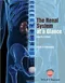 The Renal System at a Glance
