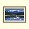 海天一色天鵝湖