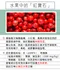 日禾雜穀｜美國進口蔓越莓果乾(切半)(300g/包)