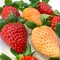 奈良古都華雙色草莓｜Juicy Jewel 就是這 水果禮盒