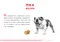 ROYAL CANIN法國皇家．BHN品種訂製系列【BDA鬥牛成犬】3公斤(原MB24)