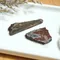 【絕版】超光鐵隕石切片12~16g