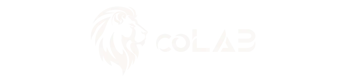 coLAB科萊而｜特斯拉周邊選物店