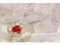 韓製寢具MAATILA－Hotel france荷葉皺褶無塵棉被組：浪漫玫瑰