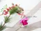 【DIY組合包】花朵Memo夾 (Ribbon Flower Memo Clip -DIY Pack)