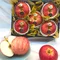 青森世界一蘋果｜Juicy Jewel 就是這 水果禮盒