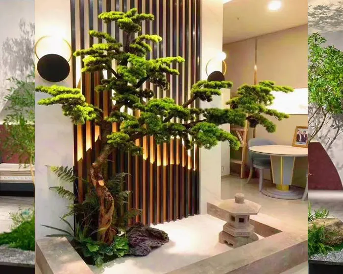 樟樹批發，樟樹行道樹，樟樹庭院造景，樟樹耐修剪，樟樹綠化，樟樹用途，樟樹種植，低維護綠化樹種，海岸綠化推薦，公園綠化樹種，行道樹選擇，造景樹種 ...