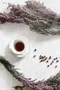 ⎪初START COFFEE⎪ 衣索比亞 日曬 古吉 紫風鈴 G1 20/01 批次